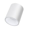 Plafonveida balts LED gaismeklis 