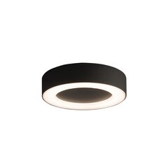 Nowodvorski Lighting lampa 9514 cena un informācija | Āra apgaismojums | 220.lv