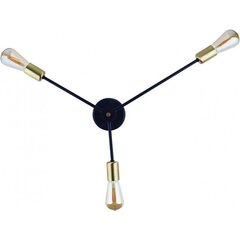 Nowodvorski Lighting светильник 9136 цена и информация | Настенный/подвесной светильник Eye Spot 11 BL, чёрный | 220.lv