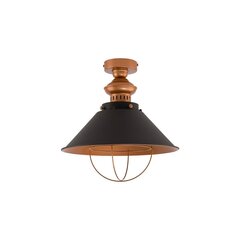 Nowodvorski Lighting светильник 9247 цена и информация | Настенный/подвесной светильник Eye Spot 11 BL, чёрный | 220.lv