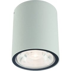 Nowodvorski Lighting lampa 9108 cena un informācija | Āra apgaismojums | 220.lv