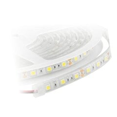Elastīga led lenta "KANO" 3000K, 9,6W/M, IP67 cena un informācija | LED lentes | 220.lv