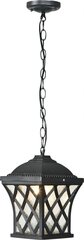 Nowodvorski Lighting подвесной светильник Tay 5293 цена и информация | Настенный/подвесной светильник Eye Spot 11 BL, чёрный | 220.lv