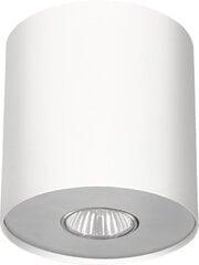 Nowodvorski Lighting griestu lampa Point 6001 цена и информация | Потолочные светильники | 220.lv