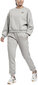 Reebok Sporta Tērps Piping Pack Tracksuit Grey HB4025 HB4025/M cena un informācija | Sporta apģērbs sievietēm | 220.lv