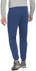 Reebok Брюки Wor Piping Jogger Blue HA1071 HA1071/S цена и информация | Мужская спортивная одежда | 220.lv