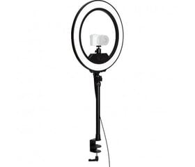 Elgato Ring Light LED lampa (melns) | 2500 Lm cena un informācija | Apgaismojums fotografēšanai | 220.lv