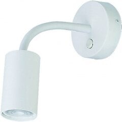 Nowodvorski Lighting lampa 9070 цена и информация | Настенные светильники | 220.lv