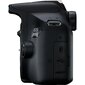 Canon EOS 2000D + EF-S 18-55mm III + EF 50mm STM цена и информация | Digitālās fotokameras | 220.lv