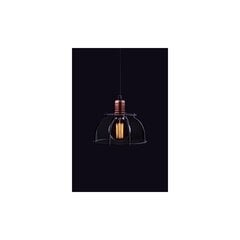 Nowodvorski Lighting подвесной светильник Workshop 6335 цена и информация | Настенный/подвесной светильник Eye Spot 11 BL, чёрный | 220.lv