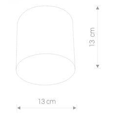 Nowodvorski Lighting потолочный светильник Point 6525 цена и информация | Потолочный светильник | 220.lv