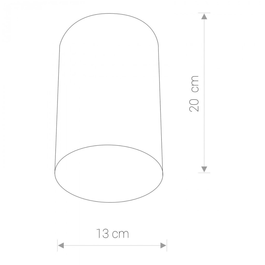 Nowodvorski Lighting griestu lampa Point 6528 цена и информация | Griestu lampas | 220.lv