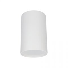 Nowodvorski Lighting griestu lampa Point 6528 цена и информация | Потолочные светильники | 220.lv