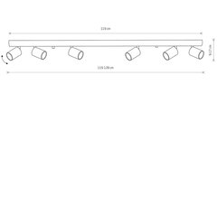 Nowodvorski Lighting griestu lampa Eye Spot Brass 8819 цена и информация | Потолочные светильники | 220.lv