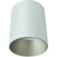 Nowodvorski Lighting griestu lampa Eye Tone White/Silver 8928