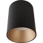Nowodvorski Lighting griestu lampa Eye Tone Black/Gold 8931 цена и информация | Griestu lampas | 220.lv
