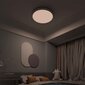 Yeelight Arwen Ceiling Light 550S cena un informācija | Griestu lampas | 220.lv