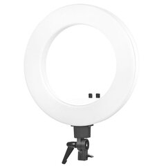 Лампа для макияжа RING LIGHT 18 48Вт LED (белого цвета) цена и информация | Осветительное оборудование для фотосъемок | 220.lv