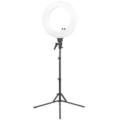 Grima lampa Ring Light 18 48 W LED, baltā krāsā cena un informācija | Apgaismojums fotografēšanai | 220.lv