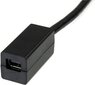 StarTech, DP2MDPMF6IN DisplayPort Mini - DisplayPort цена и информация | Kabeļi un vadi | 220.lv