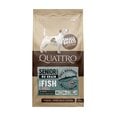 Quattro Small Breed Senior and Diet sausā bezgraudu barība mazo šķirņu suņiem ar baltajām zivīm, 7kg
