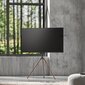 Alterzone Trio 45 "-65" cena un informācija | Monitora turētāji | 220.lv