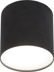 Nowodvorski Lighting griestu lampa Point 6526 цена и информация | Потолочные светильники | 220.lv
