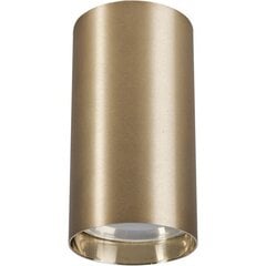 Nowodvorski Lighting griestu lampa Eye Brass S 8911 цена и информация | Потолочные светильники | 220.lv