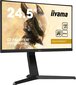 Iiyama GB2590HSU-B1 cena un informācija | Monitori | 220.lv