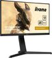 Iiyama GB2590HSU-B1 cena un informācija | Monitori | 220.lv