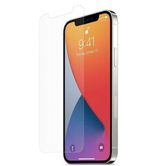 Riff Telefona ekrāna aizsargstikls 0.3mm priekš Apple iPhone 12 Pro Max цена и информация | Защитные пленки для телефонов | 220.lv