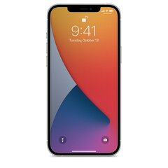 MyScreen Hybrid Flexible 8H Premium цена и информация | Защитные пленки для телефонов | 220.lv