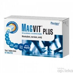 Magvit Plus tab. N42 cena un informācija | Vitamīni, preparāti, uztura bagātinātāji labsajūtai | 220.lv