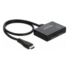 Kabelis DELOCK 87747 цена и информация | Адаптеры и USB разветвители | 220.lv