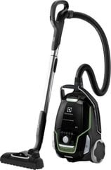 Electrolux EUOC9GREEN цена и информация | Пылесосы | 220.lv