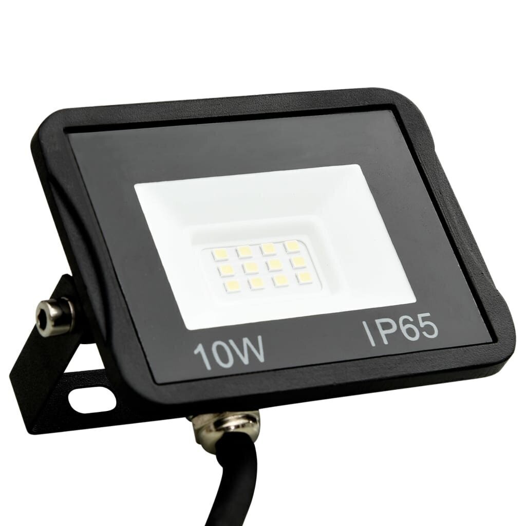 LED prožektoriai, 10 W цена и информация | Lukturi un prožektori | 220.lv