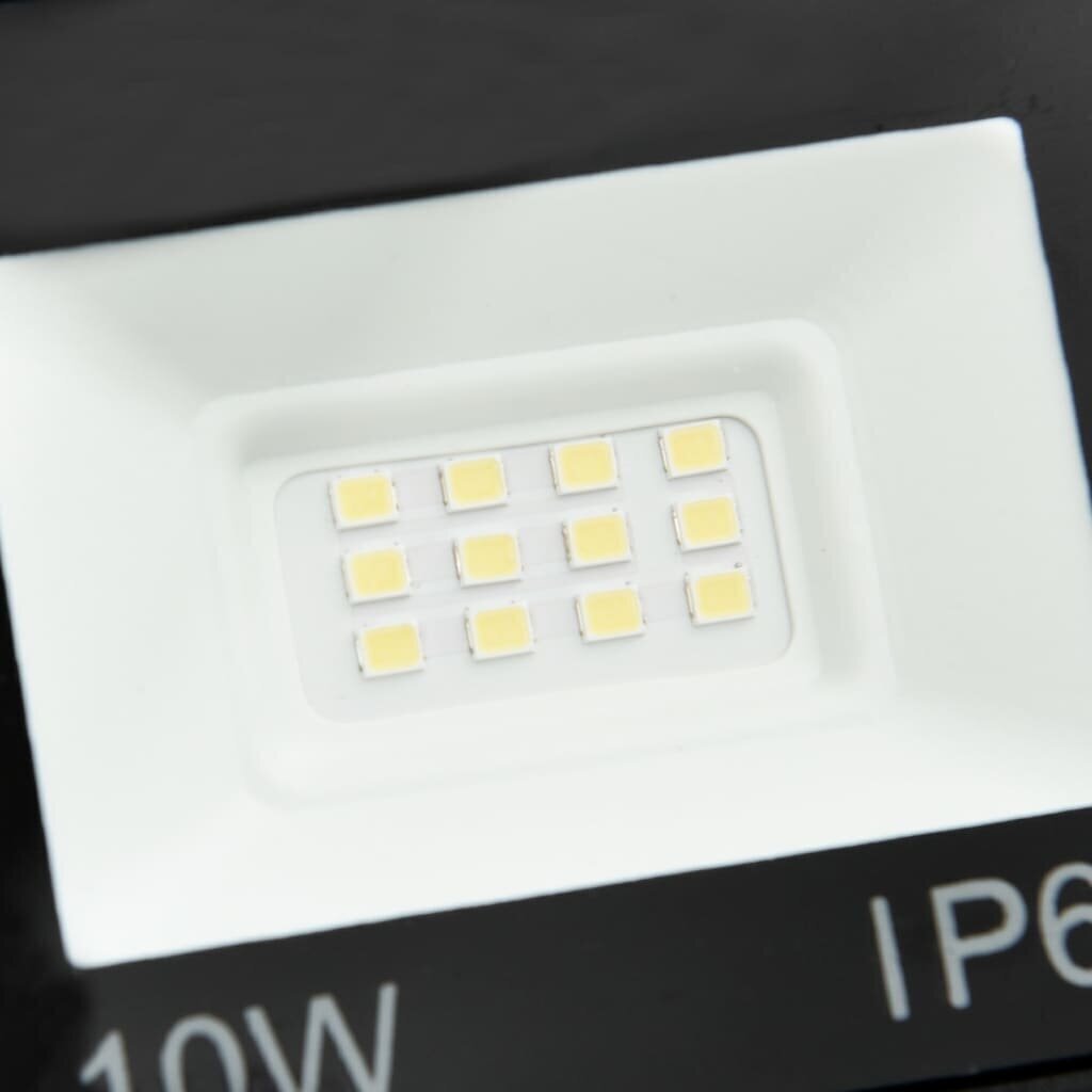 LED prožektoriai, 10 W цена и информация | Lukturi un prožektori | 220.lv