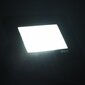 LED prožektoriai, 20 W cena un informācija | Lukturi un prožektori | 220.lv