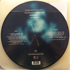 Виниловая пластинка David Bowie - In The Beginning, Picture Disc, LP, 12" vinyl record цена и информация | Виниловые пластинки, CD, DVD | 220.lv