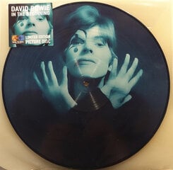 David Bowie - In The Beginning, Picture Disc, LP, vinila plate, 12" vinyl record cena un informācija | Vinila plates, CD, DVD | 220.lv