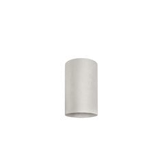 Nowodvorski Lighting gaismekļa plafons 8521 Cameleon Barrel S White cena un informācija | Lustras | 220.lv