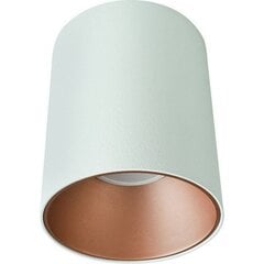 Nowodvorski Lighting griestu lampa Eye Tone White/Gold 8926 цена и информация | Потолочные светильники | 220.lv