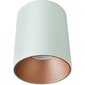 Nowodvorski Lighting griestu lampa Eye Tone White/Gold 8926 цена и информация | Griestu lampas | 220.lv