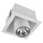 Nowodvorski Lighting zemapmetuma griestu lampa Eye Mod White I 8936 цена и информация | Griestu lampas | 220.lv