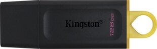 Kingston DTX, 128GB, USB 3.2 цена и информация | USB накопители | 220.lv