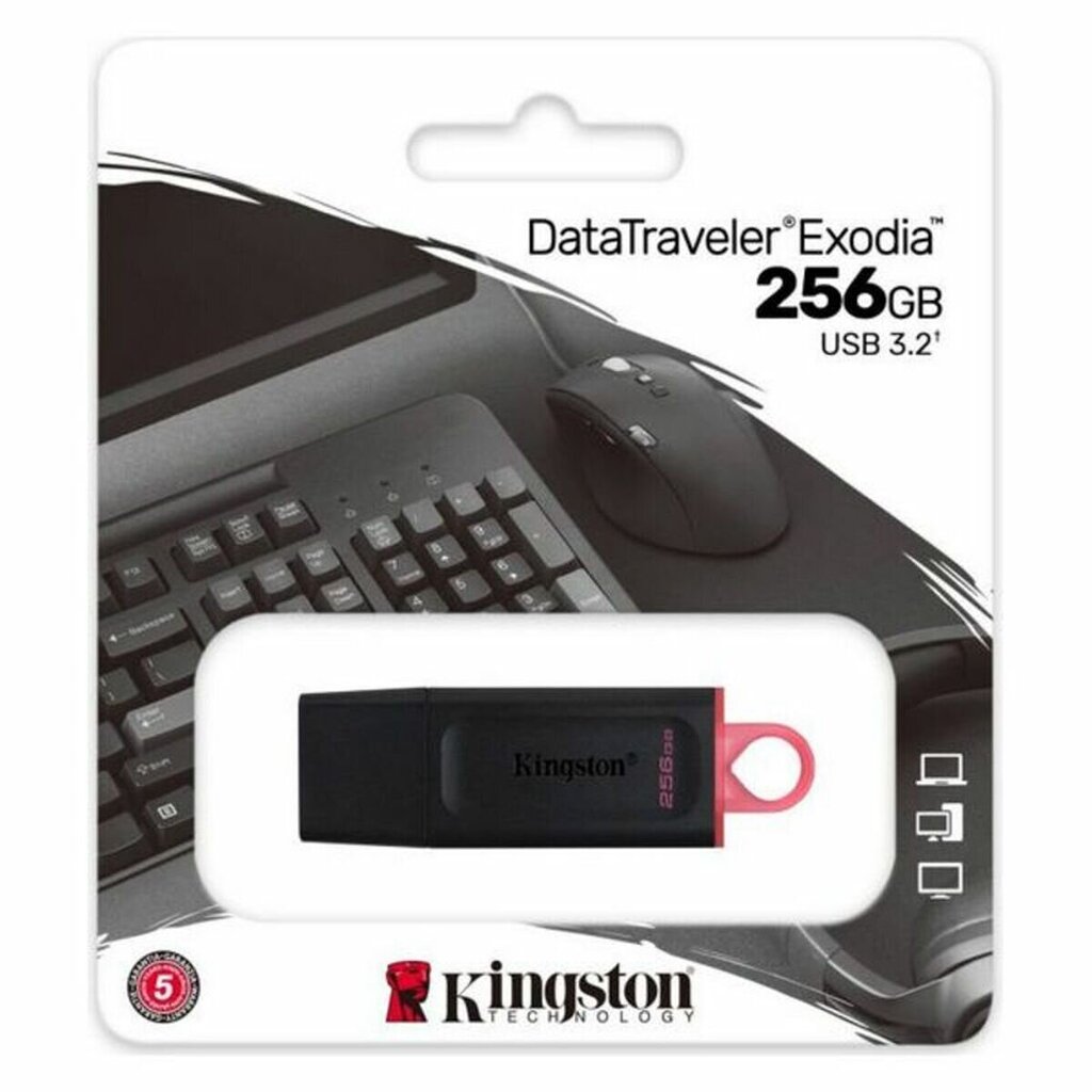 Kingston DTX, 128GB, USB 3.2 cena un informācija | USB Atmiņas kartes | 220.lv