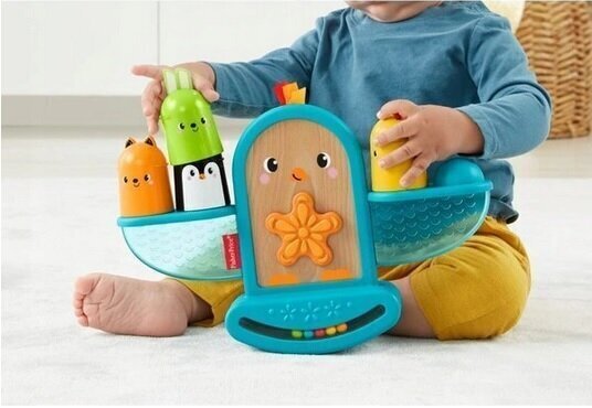 Līdzsvara rotaļlieta Fisher-Price GJW26 цена и информация | Rotaļlietas zīdaiņiem | 220.lv