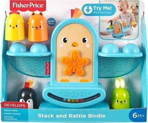 Līdzsvara rotaļlieta Fisher-Price GJW26 цена и информация | Rotaļlietas zīdaiņiem | 220.lv