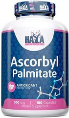 Haya Labs Ascorbyl Palmitate 500 mg 100 kapsulas цена и информация | Витамины, пищевые добавки, препараты для хорошего самочувствия | 220.lv