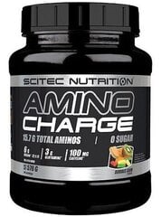 Scitec Nutrition Amino Charge 570 g cena un informācija | Aminoskābes | 220.lv